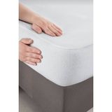 Evony Çift Kişilik 160X200+30 cm Pamuklu Fitted Sıvı Geçirmez Yatak Koruyucu Alez - 160 x 200 cm - Beyaz