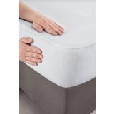 Evony Tek Kişilik 90X190 30 Cm Pamuklu Fitted Sıvı Geçirmez Alez
