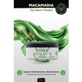 Evoque Macamadia Saç Maskesi, Multivitamin Complex Besleyici Doğal Bakım, Normal & Ince Saçlar Için, 500 ml