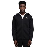 Evostripe Fz Hoodie Dk Erkek Siyah Günlük Stil Sweatshirt 68823101