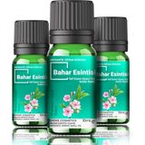 Evove Bahar Çiçekleri Oda Kokusu 3 Adet 10ML Set Aromatik Buhardanlık Difüzör Koku Esansı Esansiyel Yağ