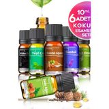 Evove Cosmetics 6'lı Oda Kokusu Seti 10 ml Cam Şişe İçerisinde Sedir, Sandal, Yeşil Elma, Kabe, Yeşil Çay, Sümbül