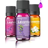 Evove Cosmetics Efsane Çiçekler Oda Kokusu - Buhurdanlık Yağı %100 Saf & Doğal 3'lü Set 3X10ML Aromatik Esansiyel Uçucu Yağ