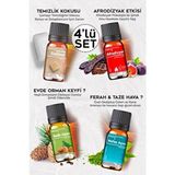 Evove Cosmetics Keyf Serisi 4'lü Saf Esansiyel Yağ Oda Kokusu 10 ml Cam Şişe Aromatik Etki