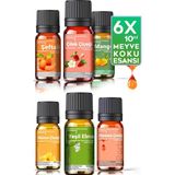 Evove Cosmetics Meyve Rüyası Oda & Ortam Kokusu Serisi 6X10ML Esansiyel Uçucu Yağ %100 Doğal Buhurdanlık Yağı 6'lı Set