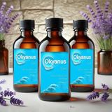Evove Cosmetics Okyanus Esintisi Esansiyel Yağ Premium Oda Kokusu 3'lü Set x 30ML Buhardanlık Difüzör Buhar Makinesi - Okyanus 30 ml