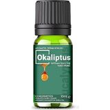 Evove Evove okaliptüs Eucalyptus esansiyel Yağ Doğal Oda Kokusu 1 Adet 10 ml aromatik Buhurdanlık Yağı Kokusu Difüzör Aromaterapi Yağ Koku Özü