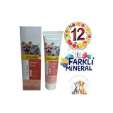 Evpati Petguard Junior Paste Ve Tüy Yumağı Önleyici Kedi Malt Macunu 100 Gr