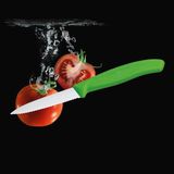 Evrekala Shop Tırtıklı Bıçak ve Soyacak Seti Victorinox Green Knives Set