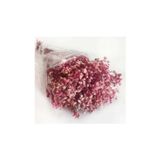 Evsay 1 Demet Doğal Cipso Çiçek Pembe ( 18 Cm * 40 Cm ) ( 50 gram) Parti Süslemeleri