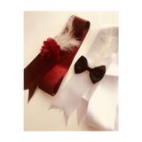 Evsay Lazer Güllü Tüylü Gelin Ve Damat Için Saten Takılık Beyaz Bordo