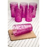EWS Akrilik Pembe 6'lı Uzun Bardak & Su Meşrubat Bardağı 750 ml ( Büyük Boy & Cam Değildir )