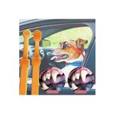 Exelox Kedi/köpek Silikon Diş Fırçası