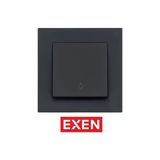 Exen Karell Füme Light Anahtarı