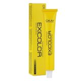 Exicolor 30 Volüm Peroksit + Boya Naylonu + 60 ml 10 Platin Saç Boyası