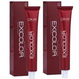 Exicolor 4.20 Patlıcan Moru 2x60 ml Saç Boyası