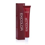 Exicolor 9.1 Küllü Açık Sarı 2x60 ml Tüp Saç Boyası
