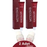 Exicolor Soğuk Gri 2 Adet Tüp Boya+ 2 Adet Oksidan