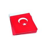 EXİZTİCARET 250 ADET İPLİ ORTA TÜRK BAYRAĞI (8CM-13CM) exizNM159