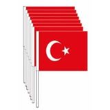 EXİZTİCARET 50 ADET ÇITALI BÜYÜK BATTAL BOY TÜRK BAYRAĞI (22M-32CM) exizNM814