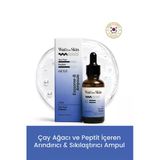 Exosome-B Ampoule Tea Tree Peptide /Peptit Çay Ağacı Eksozom İçeren Arındırıcı Ve Sıkılaştırıcı Yoğun Ampul