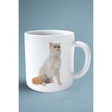 Exotic Shorthair Kedi Isimli Kişiye Özel Baskılı Kupa Bardak Model 11
