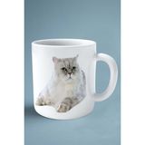 Exotic Shorthair Kedi Isimli Kişiye Özel Baskılı Kupa Bardak Model 15