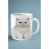 Exotic Shorthair Kedi Isimli Kişiye Özel Baskılı Kupa Bardak Model 2