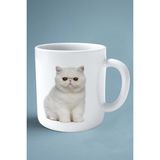 Exotic Shorthair Kedi Isimli Kişiye Özel Baskılı Kupa Bardak Model 6