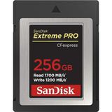Extreme Pro Cfexpress Hafıza Kartı Tip B 256 GB (1.700 Mb/s Okuma, 1.200 Mb/s Yazma, Rescuepro Deluxe, Sorunsuz Raw Videolar, 4k, Xqd Uyumluluğu)