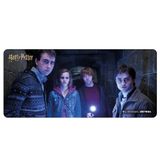 EXVEGA 90X40 CM Mousepad (Harry Potter Friends)