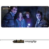 Exvega Harry Potter Friends Xxl Mousepad (90×40) - Renkli
