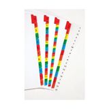Exxo Mylar Destekli Karton Seperatör 1-5 Rakam Renkli (TM102)