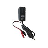 EYEPC 12v 12 Volt Kuru Tip Akü Oyuncak Akülü Araba Akü Pil Batarya Şarj Adaptör Voltaj Kesicili