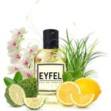 Eyfel M1 50 ml Erkek Parfüm
