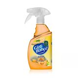 Eyüp Sabi Tuncer Gizli Bahçe Yeni Nesil Oda Spreyi Kavun 500Ml Pet Şişe