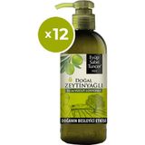 Eyüp Sabri Tuncer 250 ml x 12 Adet Doğal Zeytinyağlı El Ve Vücut Losyonu