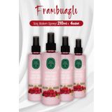 Eyüp Sabri Tuncer 4x210 ml Frambuazlı Sirke ve Süper Saç Bakım Spreyi