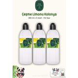 Eyüp Sabri Tuncer Çeşme Limonu Kolonyası Pet Şişe 400 ml 3 Adet ve ROSIE 60'lı