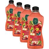 Eyüp Sabri Tuncer Doğal Zeytinyağlı Sıvı Sabun Amber 1,5 L Pet Şişe (1 x 1500 ml) (4 paketi)