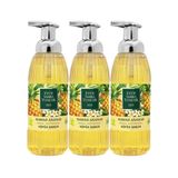 Eyüp Sabri Tuncer Hawaii Ananas 3x500 ml Köpük Sabun