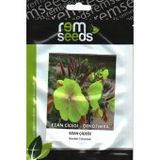 Ezan Çiçeği Tohumu 1 - OENOTHERA (~ Takribi 50 Tohum)
