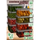 Ezupack 2,5 LT XL KARE Kendinden Kapaklı Mikrodalga Difriz Derin Dondurucu Buzluk Düzenleyici Saklama Kabı