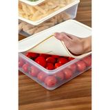 Ezupack 4x4 Lt. Buzdolabı Düzenleyici Buzluk Saklama Kabı Mikrodalga Difrize Uygun Organizer Ekru