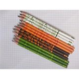 Faber-Castell 12 Adet Spor Kurşun Kalem Seti 2B Renkli Futbol Basketbol Desenli