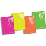 Faber Castell Bls. PP Kapak Seperatörlü 100 Yaprak 4 Bölüm Krşk. Defter