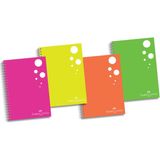 Faber Castell Bls. PP Kapak Seperatörlü 4 Bölüm Krşk.Defter, 120 Yaprak