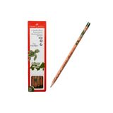 Faber Castell Faber-castell Anadolu Mirası Deniz Kaplumbağası 2b Kurşun Kalem 6 Lı