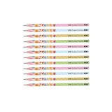 Faber Castell Faber-Castell Sevimli Dostlar 2B Yuvarlak Kurşun Kalem 12 Adet 16880 8685430147741