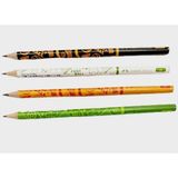Faber-Castell Faber Castell Spor Kurşun Kalem - 5 Adet